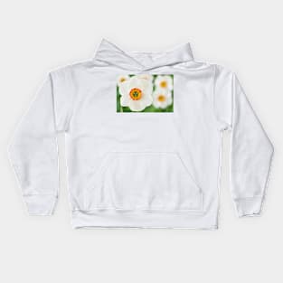 Narcissus  &#39;Felindre&#39;    Div.  9 Poeticus  Daffodil Kids Hoodie